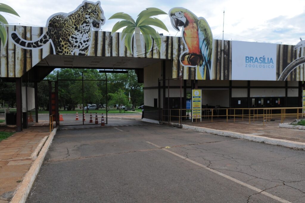 zoo de brasilia