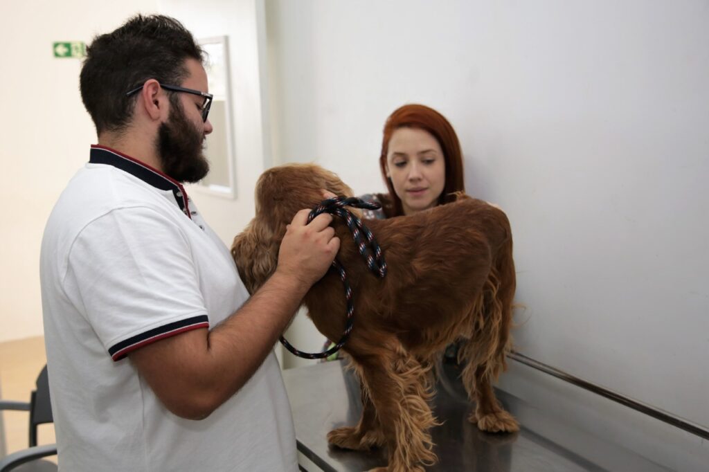 Hvep Móvel leva atendimento veterinário gratuito ao Varjão 1 hvep