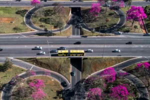 brasilia 1 1