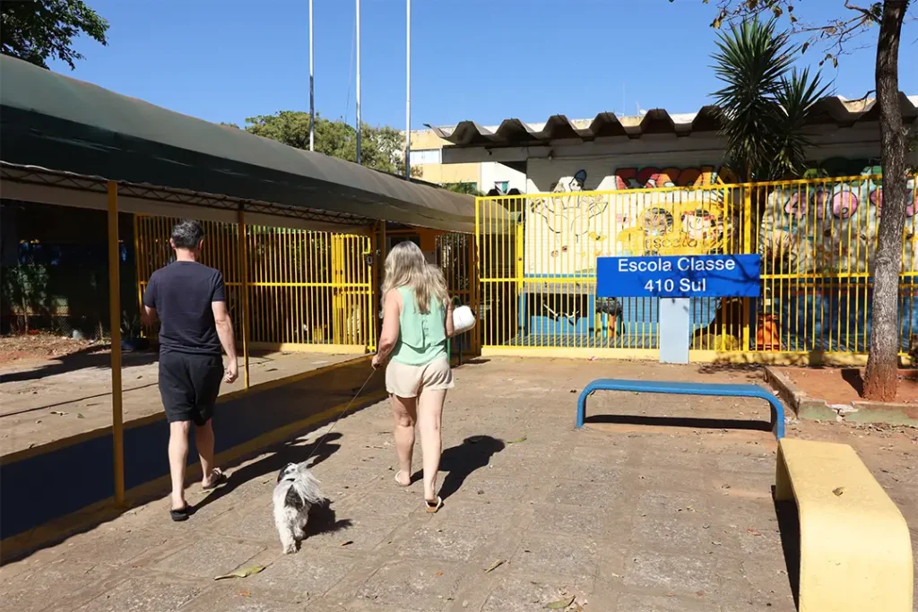 vacinacao
